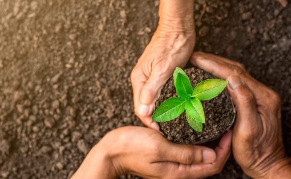 大協肥糧株式会社