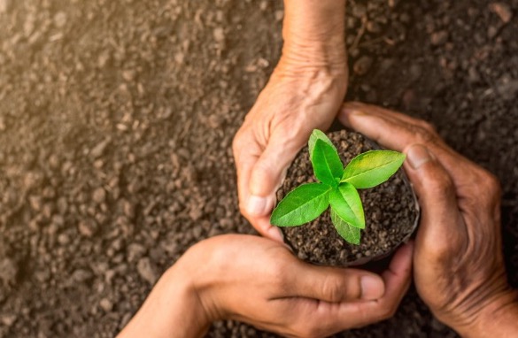 大協肥糧株式会社
