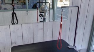 トリミングスタジオ Coco Wan (ココワン)